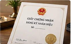 Minh họa trao đổi đánh giá