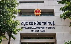 Minh họa nộp hồ sơ