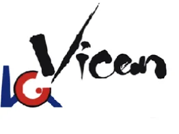 Vicem